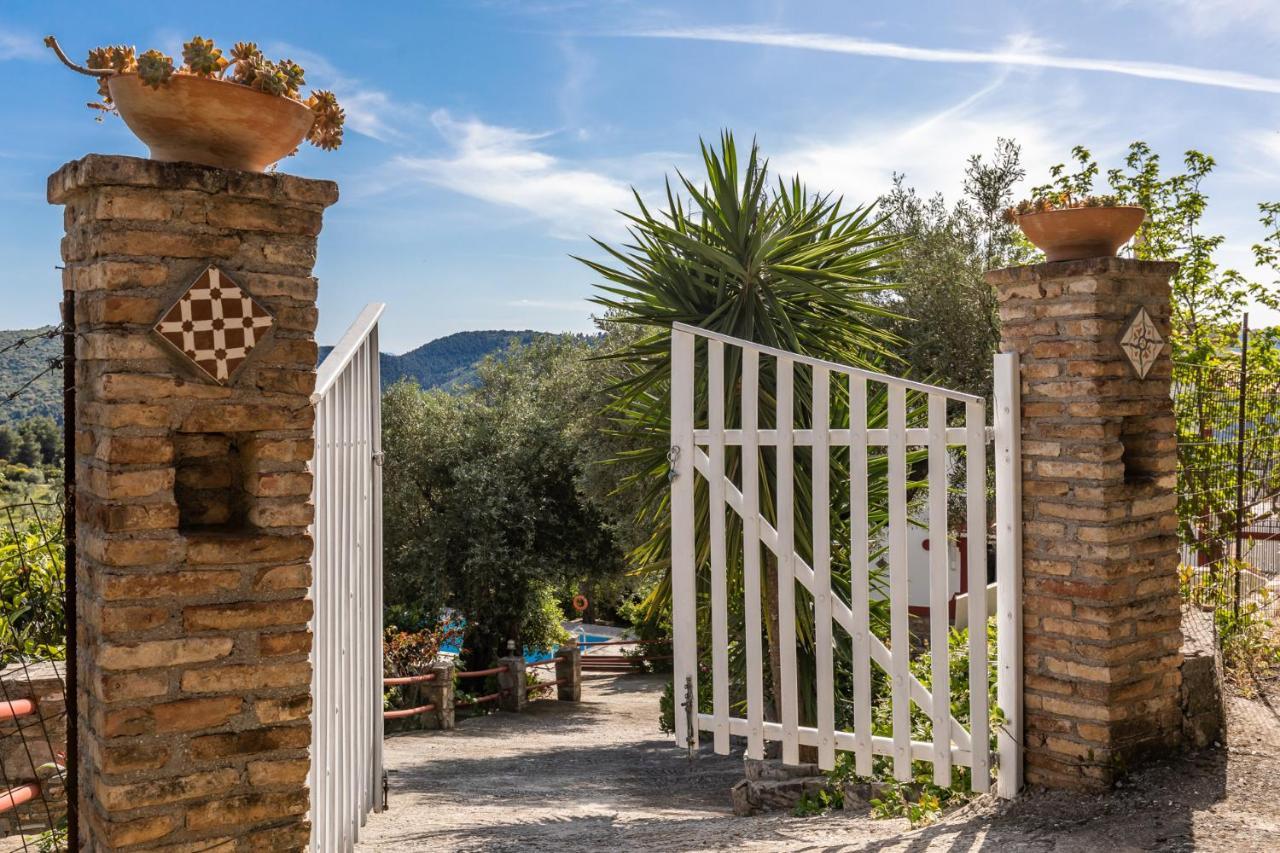 Villa Agia Marina Skópelos Eksteriør bilde
